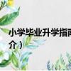 小學畢業升學指南：語文（關于小學畢業升學指南：語文簡介）