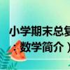 小學期末總復習：數學（關于小學期末總復習：數學簡介）