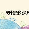 5升是多少斤等于多少斤（5升是多少斤）