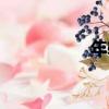 年輪（關于年輪介紹）
