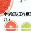 小學班隊工作原理與實踐（關于小學班隊工作原理與實踐簡介）