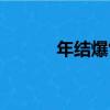 年結爆竹（關于年結爆竹介紹）