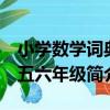 小學數學詞典 五六年級（關于小學數學詞典 五六年級簡介）