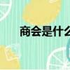 商會是什么性質的單位（商會是什么）