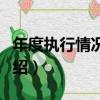 年度執行情況報告（關于年度執行情況報告介紹）