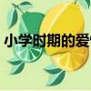 小學時期的愛情（關于小學時期的愛情簡介）