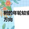 樹的年輪較密的向著什么方向較疏的向著什么方向