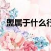 盟屬于什么行政級別（旗是什么行政級別）