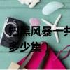 掃黑風暴一共多少集劇情介紹（掃黑風暴一共多少集）