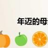 年邁的母親（關于年邁的母親介紹）
