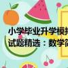 小學畢業升學模擬試題精選：數學（關于小學畢業升學模擬試題精選：數學簡介）