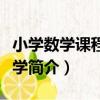 小學數學課程與教學（關于小學數學課程與教學簡介）
