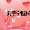 劉宇寧腿長113微博（劉宇寧腿長113）
