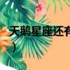 天鵝星座還有什么星座（十二星座有天鵝座嗎）