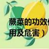蕨菜的功效作用及危害 新聞（蕨菜的功效作用及危害）