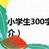 小學生300字作文（關于小學生300字作文簡介）