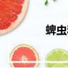 蜱蟲和陰虱的圖片（婢蟲）