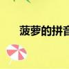 菠蘿的拼音字母怎么寫（菠蘿的拼音）