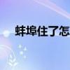 蚌埠住了怎么讀為什么airport連接不了
