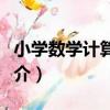 小學數學計算高手（關于小學數學計算高手簡介）