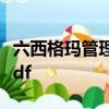 六西格瑪管理法:世界頂級企業追求卓越之道pdf