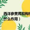 西洋參黃芪和枸杞泡水喝有什么作用（黃芪和枸杞泡水喝有什么作用）