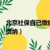 北京社保自己繳納和公司繳納有什么區別嗎（北京社保自己繳納）