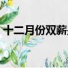 十二月份雙薪是什么意思（雙薪是什么意思）