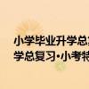 小學畢業升學總復習·小考特訓營：數學（關于小學畢業升學總復習·小考特訓營：數學簡介）