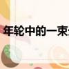 年輪中的一束光（關于年輪中的一束光介紹）