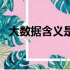大數據含義是什么意思（含義是什么意思）