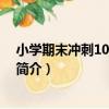 小學期末沖刺100分·數學（關于小學期末沖刺100分·數學簡介）