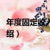 年度固定收入總額（關于年度固定收入總額介紹）