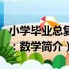 小學畢業總復習：數學（關于小學畢業總復習：數學簡介）
