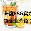 年度ESG實力先鋒企業（關于年度ESG實力先鋒企業介紹）