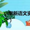 小學新語文資料庫（關于小學新語文資料庫簡介）