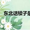 東北話犢子是什么意思（犢子是什么意思）