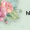 hh是什么牌子（hh）