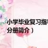 小學畢業復習指導 數學分冊（關于小學畢業復習指導 數學分冊簡介）