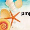 pmp模擬考試（pmpm）