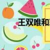 王雙唯和竇文濤（王雙唯與聶聞濤）