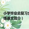 小學畢業總復習全解全練語文（關于小學畢業總復習全解全練語文簡介）