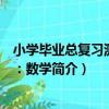 小學畢業總復習測試卷：數學（關于小學畢業總復習測試卷：數學簡介）