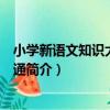 小學新語文知識大全一本通（關于小學新語文知識大全一本通簡介）
