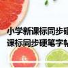 小學新課標同步硬筆字帖 二年級下冊統編教材（關于小學新課標同步硬筆字帖 二年級下冊統編教材簡介）