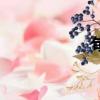旬邑天氣預報（旬）