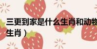 三更到家是什么生肖和動物(三更到家是什么生肖)