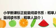 小學新課標正能量閱讀書系:稻草人(關于小學新課標正能量閱讀書系:稻草人簡介)