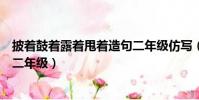 披著鼓著露著甩著造句二年級仿寫(披著鼓著露著甩著造句二年級)