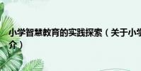 小學智慧教育的實踐探索(關于小學智慧教育的實踐探索簡介)